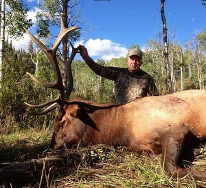 Utah Elk Hunting Outfitter