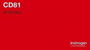 CD81 antibodies from Thermo Fisher Scientific