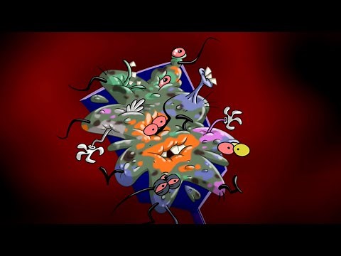 Oggy and the Cockroaches ✋💥 COCKROACHES CRASH 💥✋ Full Episode in HD