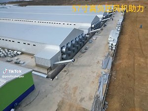 Understanding Poultry Ventilation Systems and Fans