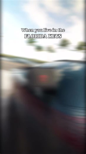 Keys Auto Center | Key West Car Service & Sales on Instagram: "That feeling when the sun is shining, the palm trees are swaying, and that beautiful drive by Smathers Beach in your brand new car makes life feel like paradise 😎 >>> This is your friendly reminder that your annual Toyotathon is still in full swing with all the deals (on top of our deal match program)! 🔥 Earn holiday bonus on a full lineup of new Toyotas including the 4Runner, Tacoma, and RAV4 PLUS 0% financing on the new 2026 Coro
