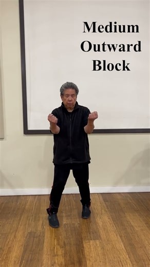Kyoshi Roy - Basic Goju Blocks