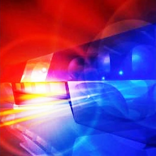 Double Whoop Woop Alert Tone