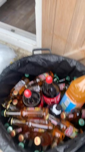 Showcasing Various Alcoholic Beverages in Creative Scenes