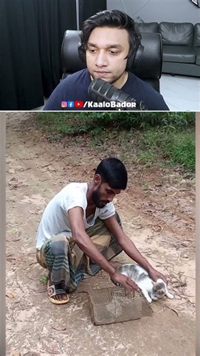 আসল বিড়াল | Bangla Funny Video (Meme Review) | KaaloBador