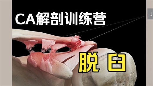 【硬核干货】从解剖学的角度看关节脱位的不同等级 Joint Dislocation Grade