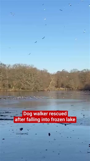 Passerby Rescues Dog Walker from Frozen Lake
