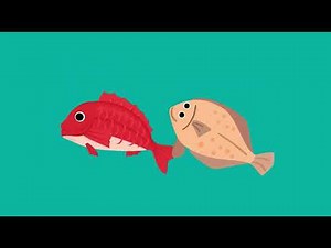 鯛やヒラメの舞い踊り #3