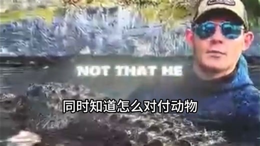 游泳碰到鳄鱼怎么办