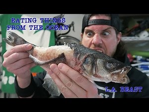 Eating Things From The Ocean Gauntlet Challenge (Warning: Dumb) | L.A. BEAST