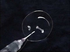 2 Diffusion and Convection