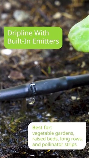 How to Choose the Right Raindrip Emitter for Your Garden 💧🌱