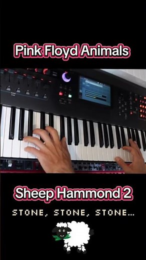 Pink Floyd - Sheep | Hammond Organ & Synth on Yamaha Montage Cover #PinkFloyd #yamahamontage