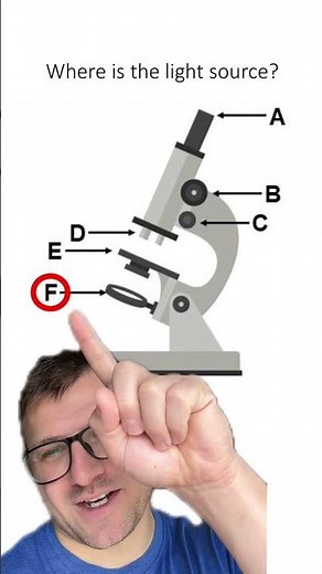 Quiz: Microscopes Parts