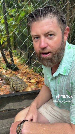 Friendly or Unfriendly? — Animals That Seem Friendly