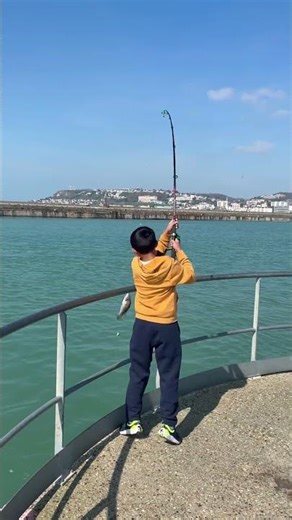 Sous le soleil du Havre ☀️ #pêche magique en bord de mer !#fishing #trending#viralvideo #viral