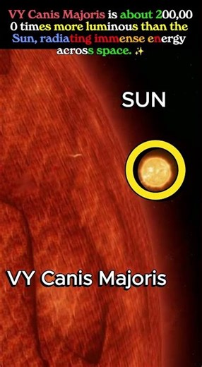 The Sun vs VY Canis Majoris