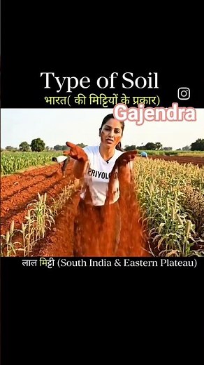 What are the MAIN Types of Soil in India?