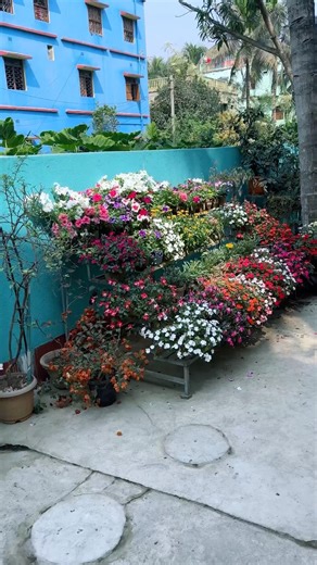 Pretty flowers #homegarden #gardening #flowers