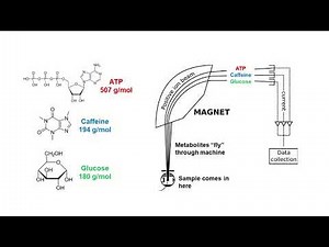 Metabolomics + Mass Spectrometry