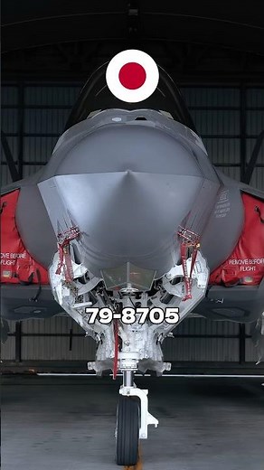 日本がF-22を諦めた本当の理由…そしてF-35初号機が眠る深海1500m
