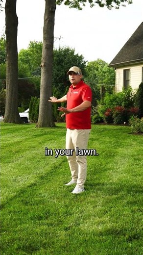 Should You Mulch or Bag Your Grass Clippings?