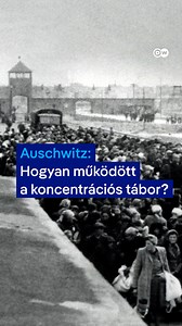 Ma 80 éve, 1945. január 27-én szabadult fel az auschwitzi koncentrációs tábor. 2001 óta ez a nap a holokauszt nemzetközi emléknapja. Auschwitz volt Európa legnagyobb, a náci Németország által épített koncentrációs táborkomplexuma. Több mint egymillió embert gyilkoltak meg itt, köztük a magyar zsidók többséget is. #holokauszt #Auschwitz #WeRemember #dwhistoryandculture #dwculture | DW Magyar