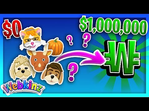 The BEST Way to Make Kinzcash on Webkinz (2024)