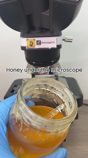 Exploring the World Through a Microscope