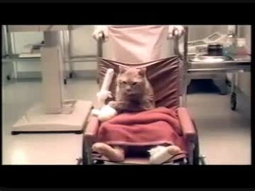 【続】2003年6月～9月のCM【各種バラエティ番組から】