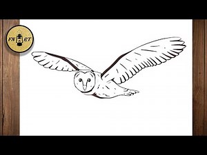 How to draw a barn owl flying