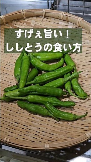 It's crazy! I can't stop drinking beer and eating chopsticks! Easy Shishito pepper snack recipes ...