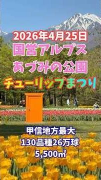 ゴールデンウィークはここです！国営アルプスあづみの公園 チューリップまつり #長野県 #あづみの公園 #チューリップ #安曇野 #信州 #japan #shorts #nagano