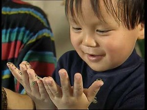 Teletubbies - Making Lanterns