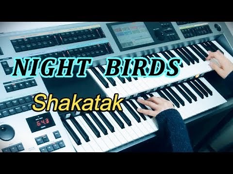 Night Birds / Shakatak ナイト・バーズ（耳コピ）★YAMAHA Electone ELS-02C