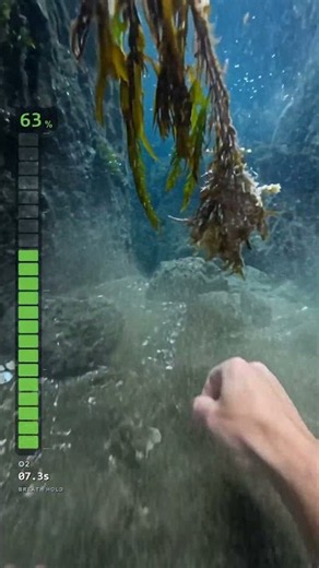 POV: The Only Way Out Is Down