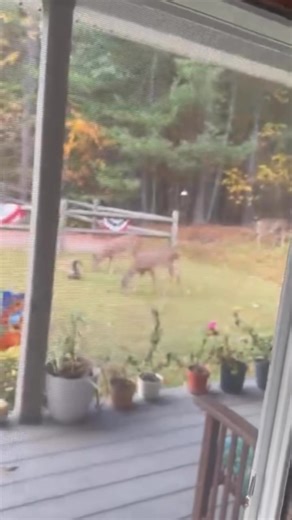 Jennifer Varga on Reels