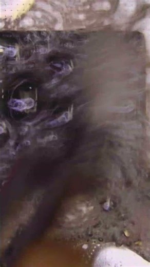 Cpu Install Process 📱📲 #mobilerepair #mobilewalebhaiya