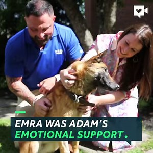18M views · 2.2K reactions | Adam hadn’t seen this retired military dog since they served together in the Air Force. She recognized him instantly. | WCNC Charlotte | Facebook