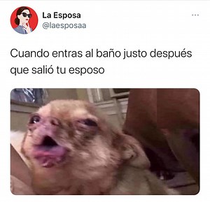 🤢 | La Esposa