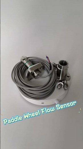 A complete set of paddle wheel flow meter includes the sensor and the transmitter 全套的转轮流量计包括传感器和变送器