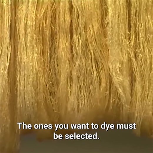 Process of obtaining silk thread with worms. | Eugenio Monesma Documentaries