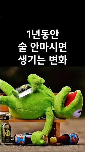 술 끊고 1년 후 몸에 일어난 충격적인 변화 #금주 #술끊기 #건강관리 #간건강