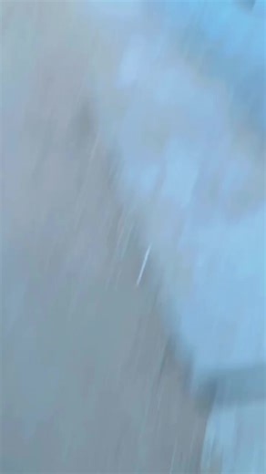 𝐁𝐈𝐍𝐆𝐄𝐋_𝐈𝐍𝐍𝐀 (@bingel_inna)’s videos with original sound - LION 🦁✅️