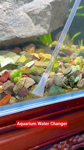 This is a sand cleaner/water changer #aquascape #aquascapelowtech #fishtank #fishaquarium #aquasuite