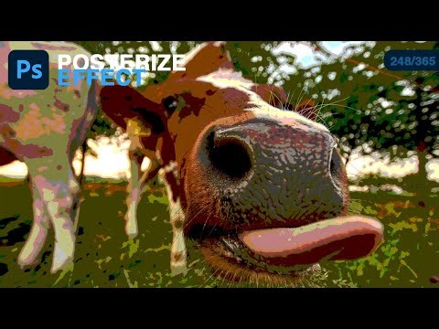 Posterize Adjustment Layer in Photoshop