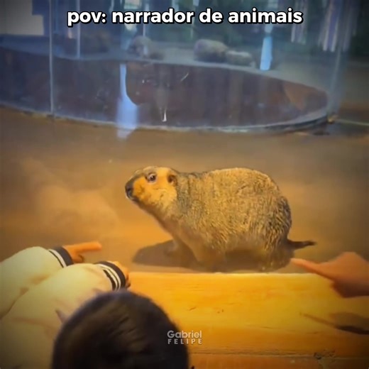 Dublagem de Animais: Risadas e Momentos do Carnaval