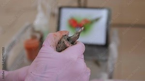 Close-up of a tattoo artist holding a tattoo machine, the machine is working and the needles are moving quickly. The process of tattooing in a modern tattoo parlor. Stock Video
