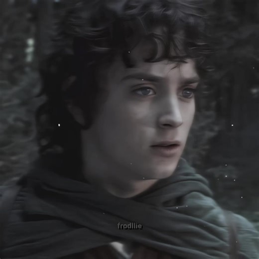 The Adventures of Frodo in The Lord of the Rings