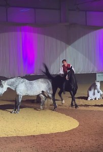 1.5M views · 55K reactions | My highlight from this years Horsemanship Showcase was been able to perform with my full performance team of horses and riders in the Saturday evening Gala ❤️ Got to love Mojo thinking about having a good buck when I first got on him  ￼ Video credit to Equestrian Coach Jessica Novelli Pambianchi | Ben Atkinson | Facebook